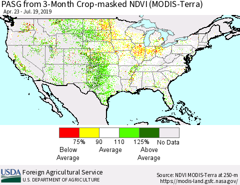 United States PASG from 3-Month Cropland NDVI (Terra-MODIS) Thematic Map For 7/11/2019 - 7/20/2019