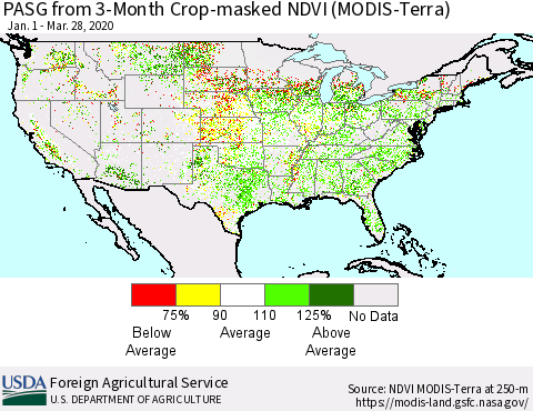 United States PASG from 3-Month Cropland NDVI (Terra-MODIS) Thematic Map For 3/21/2020 - 3/31/2020
