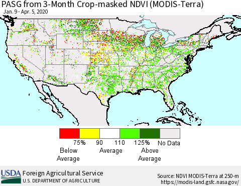 United States PASG from 3-Month Cropland NDVI (Terra-MODIS) Thematic Map For 4/1/2020 - 4/10/2020