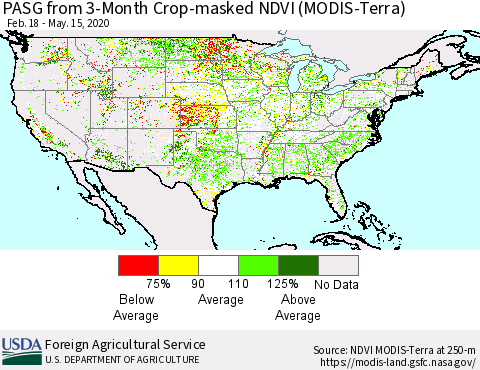 United States PASG from 3-Month Cropland NDVI (Terra-MODIS) Thematic Map For 5/11/2020 - 5/20/2020