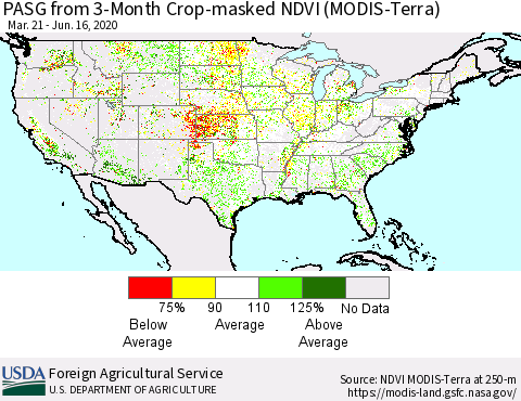United States PASG from 3-Month Cropland NDVI (Terra-MODIS) Thematic Map For 6/11/2020 - 6/20/2020