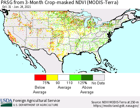 United States PASG from 3-Month Crop-masked NDVI (MODIS-Terra) Thematic Map For 1/21/2021 - 1/31/2021