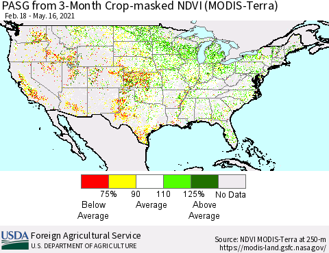 United States PASG from 3-Month Cropland NDVI (Terra-MODIS) Thematic Map For 5/11/2021 - 5/20/2021