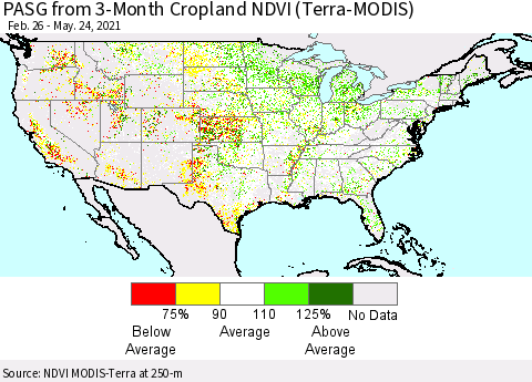 United States PASG from 3-Month Cropland NDVI (Terra-MODIS) Thematic Map For 5/17/2021 - 5/24/2021