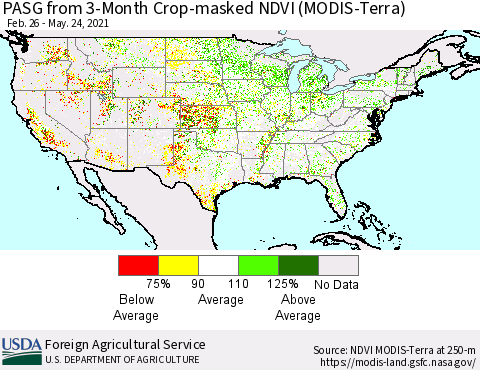 United States PASG from 3-Month Cropland NDVI (Terra-MODIS) Thematic Map For 5/21/2021 - 5/31/2021