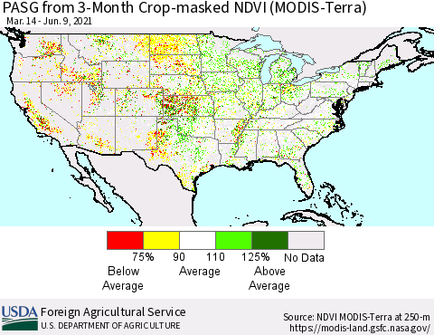 United States PASG from 3-Month Cropland NDVI (Terra-MODIS) Thematic Map For 6/1/2021 - 6/10/2021
