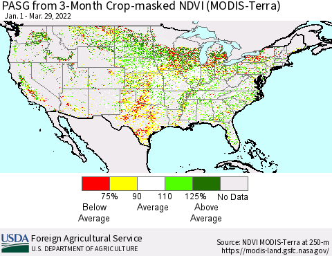 United States PASG from 3-Month Cropland NDVI (Terra-MODIS) Thematic Map For 3/21/2022 - 3/31/2022