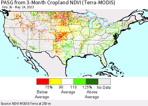United States PASG from 3-Month Cropland NDVI (Terra-MODIS) Thematic Map For 5/17/2023 - 5/24/2023