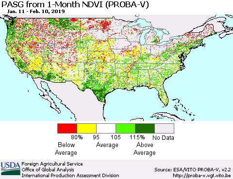 United States PASG from 1-Month NDVI (PROBA-V) Thematic Map For 2/1/2019 - 2/10/2019