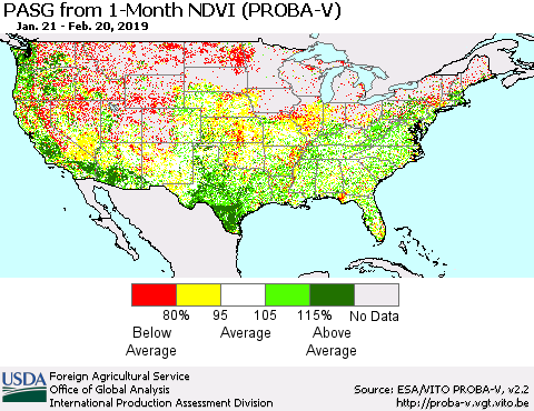 United States PASG from 1-Month NDVI (PROBA-V) Thematic Map For 2/11/2019 - 2/20/2019