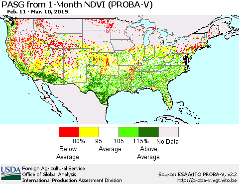 United States PASG from 1-Month NDVI (PROBA-V) Thematic Map For 3/1/2019 - 3/10/2019