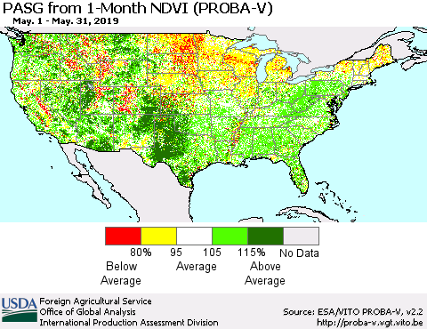 United States PASG from 1-Month NDVI (PROBA-V) Thematic Map For 5/21/2019 - 5/31/2019