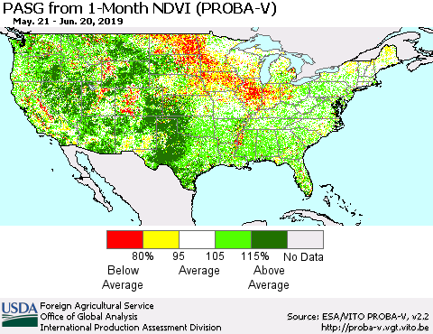 United States PASG from 1-Month NDVI (PROBA-V) Thematic Map For 6/11/2019 - 6/20/2019