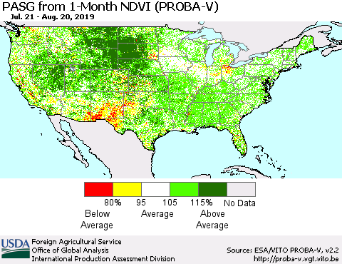 United States PASG from 1-Month NDVI (PROBA-V) Thematic Map For 8/11/2019 - 8/20/2019