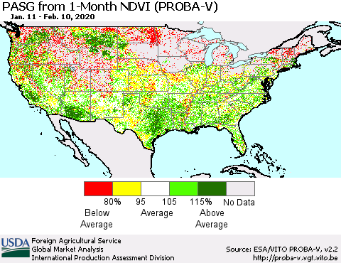 United States PASG from 1-Month NDVI (PROBA-V) Thematic Map For 2/1/2020 - 2/10/2020