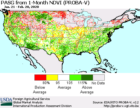 United States PASG from 1-Month NDVI (PROBA-V) Thematic Map For 2/11/2020 - 2/20/2020