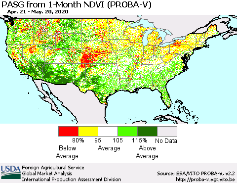 United States PASG from 1-Month NDVI (PROBA-V) Thematic Map For 5/11/2020 - 5/20/2020