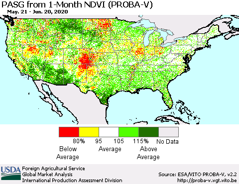 United States PASG from 1-Month NDVI (PROBA-V) Thematic Map For 6/11/2020 - 6/20/2020