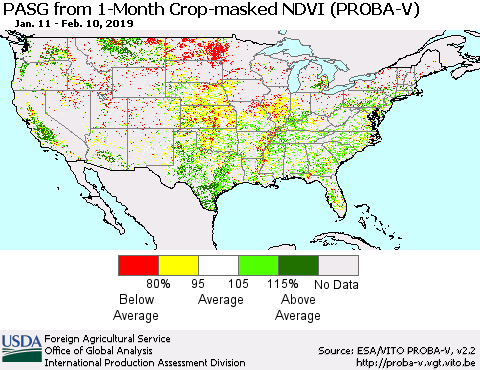United States PASG from 1-Month Crop-masked NDVI (PROBA-V) Thematic Map For 2/1/2019 - 2/10/2019