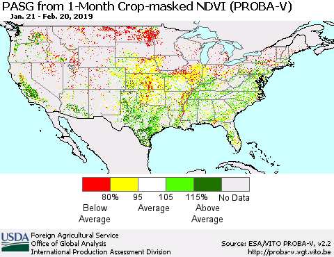 United States PASG from 1-Month Crop-masked NDVI (PROBA-V) Thematic Map For 2/11/2019 - 2/20/2019
