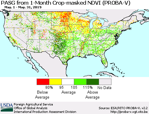 United States PASG from 1-Month Crop-masked NDVI (PROBA-V) Thematic Map For 5/21/2019 - 5/31/2019