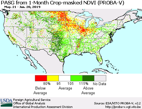 United States PASG from 1-Month Crop-masked NDVI (PROBA-V) Thematic Map For 6/11/2019 - 6/20/2019