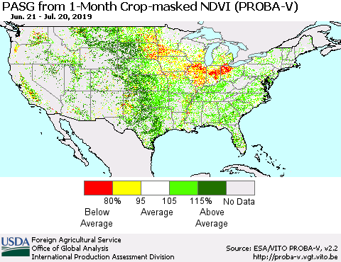 United States PASG from 1-Month Crop-masked NDVI (PROBA-V) Thematic Map For 7/11/2019 - 7/20/2019