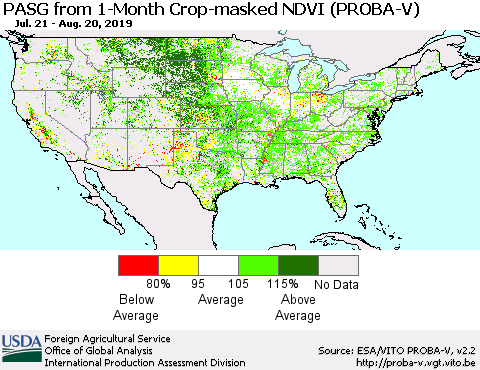 United States PASG from 1-Month Crop-masked NDVI (PROBA-V) Thematic Map For 8/11/2019 - 8/20/2019