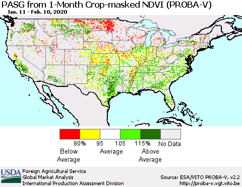 United States PASG from 1-Month Crop-masked NDVI (PROBA-V) Thematic Map For 2/1/2020 - 2/10/2020
