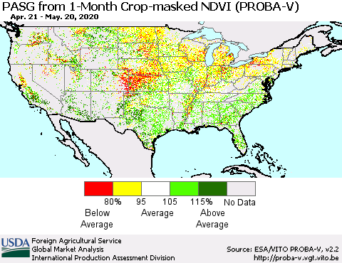 United States PASG from 1-Month Crop-masked NDVI (PROBA-V) Thematic Map For 5/11/2020 - 5/20/2020