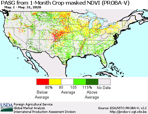 United States PASG from 1-Month Crop-masked NDVI (PROBA-V) Thematic Map For 5/21/2020 - 5/31/2020