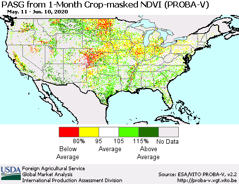 United States PASG from 1-Month Crop-masked NDVI (PROBA-V) Thematic Map For 6/1/2020 - 6/10/2020