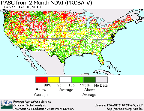United States PASG from 2-Month NDVI (PROBA-V) Thematic Map For 2/1/2019 - 2/10/2019