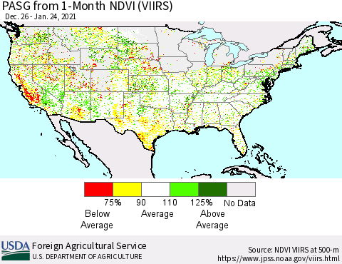 United States PASG from 1-Month NDVI (VIIRS) Thematic Map For 1/21/2021 - 1/31/2021