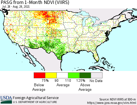 United States PASG from 1-Month NDVI (VIIRS) Thematic Map For 8/21/2021 - 8/31/2021