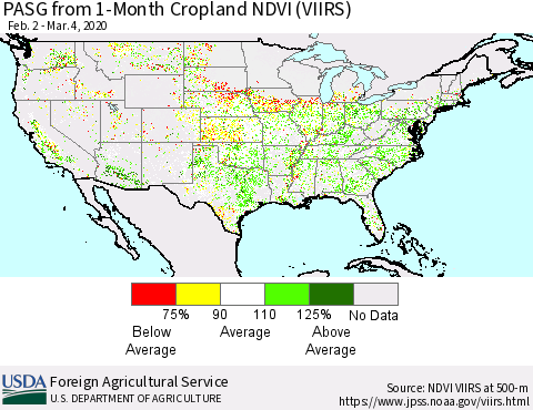 United States PASG from 1-Month Cropland NDVI (VIIRS) Thematic Map For 3/1/2020 - 3/10/2020