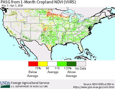 United States PASG from 1-Month Cropland NDVI (VIIRS) Thematic Map For 4/1/2020 - 4/10/2020