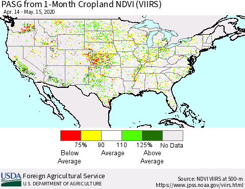 United States PASG from 1-Month Cropland NDVI (VIIRS) Thematic Map For 5/11/2020 - 5/20/2020