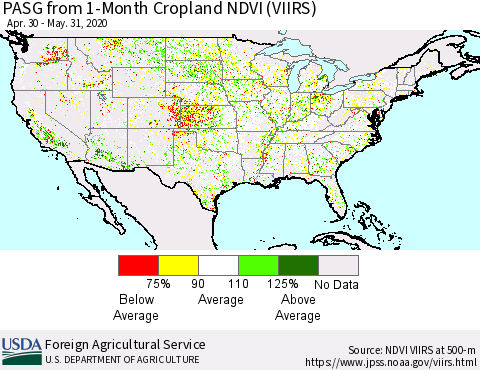 United States PASG from 1-Month Cropland NDVI (VIIRS) Thematic Map For 5/21/2020 - 5/31/2020