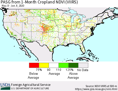 United States PASG from 1-Month Cropland NDVI (VIIRS) Thematic Map For 6/1/2020 - 6/10/2020