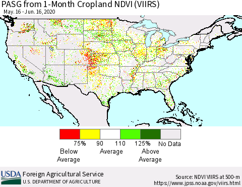 United States PASG from 1-Month Cropland NDVI (VIIRS) Thematic Map For 6/11/2020 - 6/20/2020