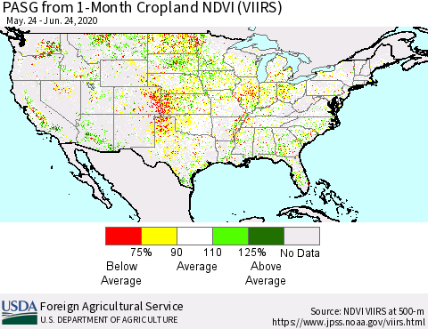 United States PASG from 1-Month Cropland NDVI (VIIRS) Thematic Map For 6/21/2020 - 6/30/2020