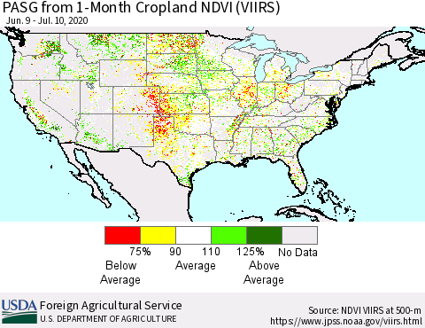 United States PASG from 1-Month Cropland NDVI (VIIRS) Thematic Map For 7/1/2020 - 7/10/2020