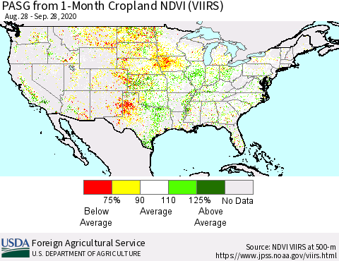 United States PASG from 1-Month Cropland NDVI (VIIRS) Thematic Map For 9/21/2020 - 9/30/2020