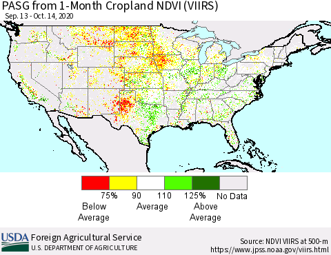 United States PASG from 1-Month Cropland NDVI (VIIRS) Thematic Map For 10/11/2020 - 10/20/2020