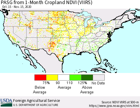 United States PASG from 1-Month Cropland NDVI (VIIRS) Thematic Map For 11/11/2020 - 11/20/2020
