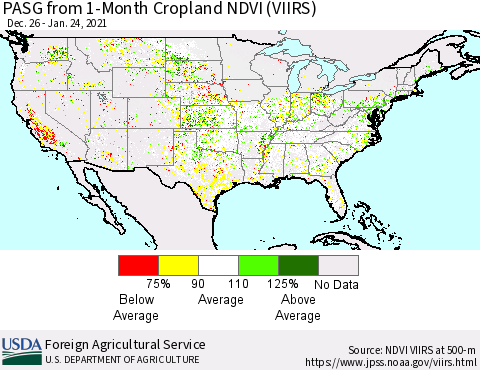United States PASG from 1-Month Cropland NDVI (VIIRS) Thematic Map For 1/21/2021 - 1/31/2021