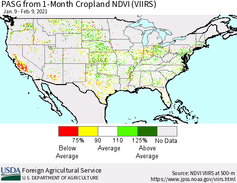 United States PASG from 1-Month Cropland NDVI (VIIRS) Thematic Map For 2/1/2021 - 2/10/2021