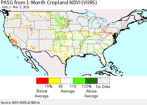 United States PASG from 1-Month Cropland NDVI (VIIRS) Thematic Map For 2/26/2021 - 3/5/2021