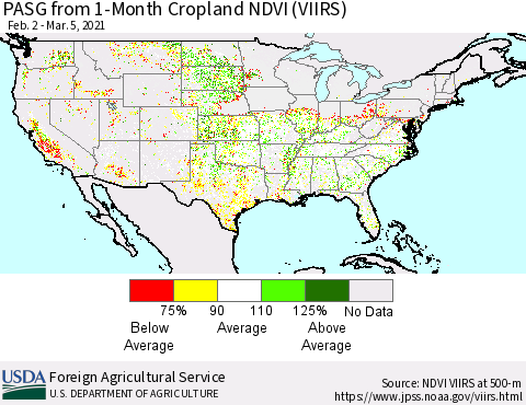 United States PASG from 1-Month Cropland NDVI (VIIRS) Thematic Map For 3/1/2021 - 3/10/2021